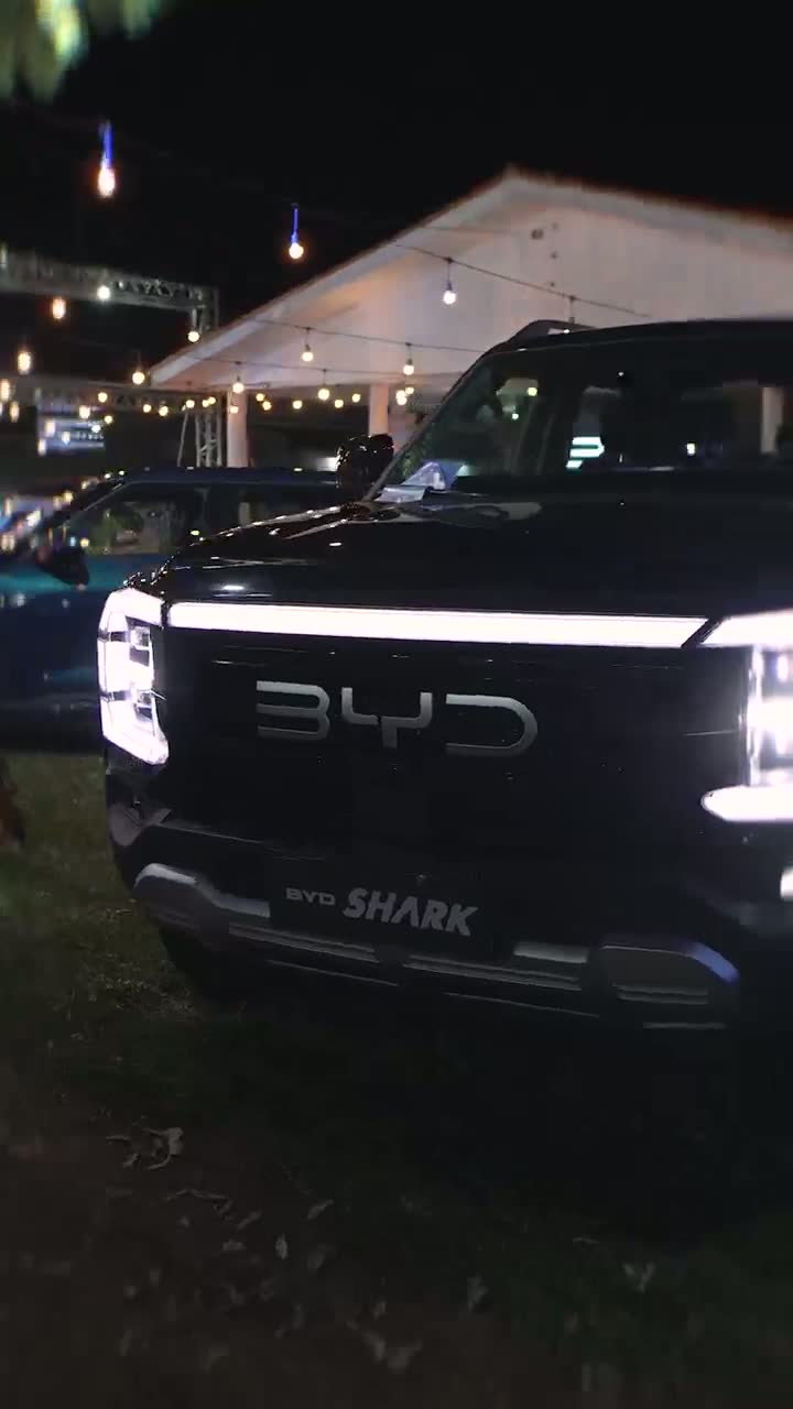 Vemaq BYD — Dia 6